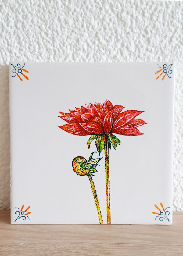 Tegeltje (Fries Witje)