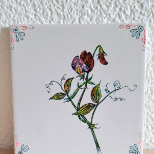 Tegeltje (Fries Witje)