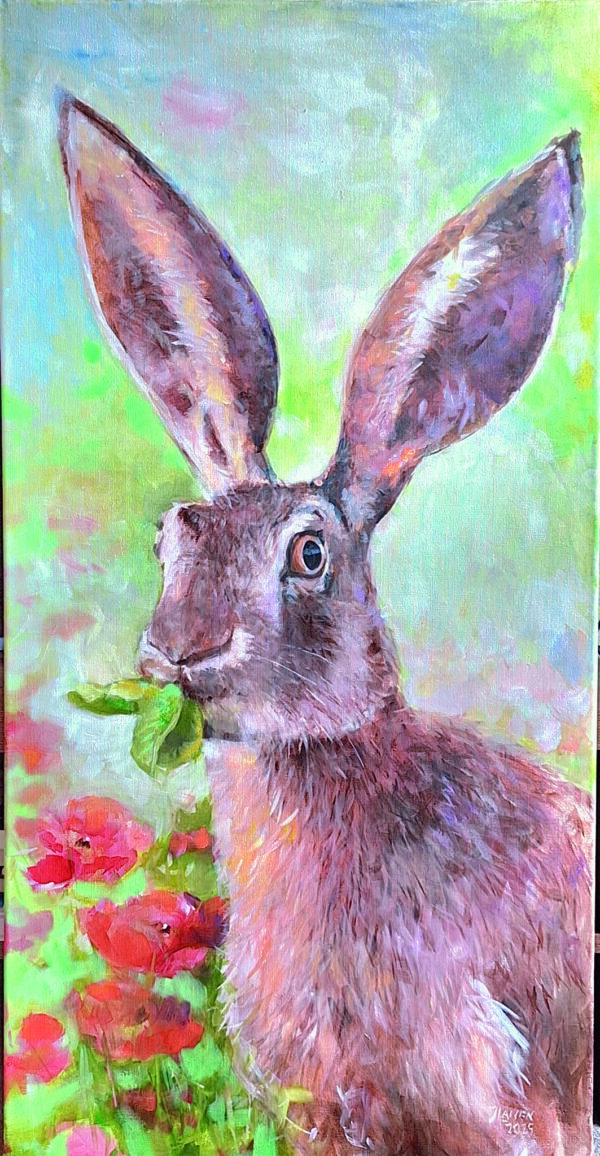 Haas, geschilderd op linnen Formaat: 50 x 100 cm Geschilderd op linnen, ook de zijkanten zijn beschilderd. Levertijd: tussen 10-14 dagen (Let op: wordt geleverd zonder lijst. Dit schilderij kan op afspraak opgehaald/bezichtigd worden) GEEN VERZENDKOSTEN