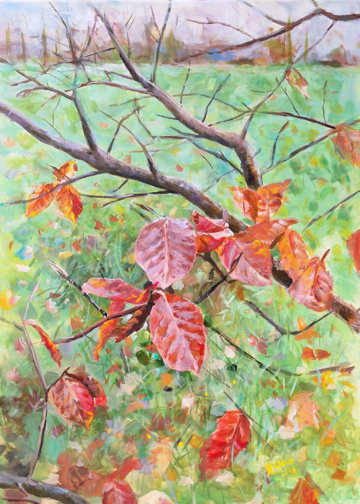 Bekenbladeren herfst