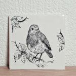 Tegeltje (Fries Witje) Roodborstje