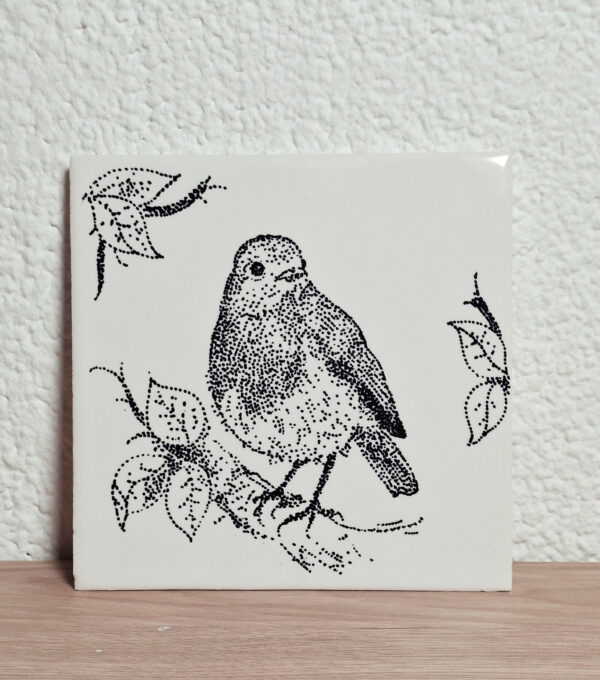 Tegeltje (Fries Witje) Roodborstje