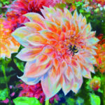 Dahlia with bumble bee Geschilderd op linnen Formaat:90 x 90 cm Geschilderd op linnen, ook de zijkanten zijn beschilderd Wordt geleverd met neutrale baklijst en kan meteen aan de muur. Dit schilderij kan op afspraak opgehaald/bezichtigd worden. GEEN VERZENDKOSTEN