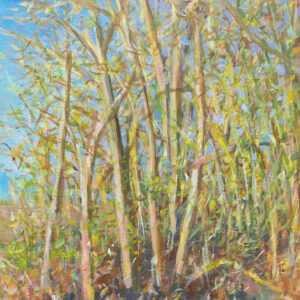 Brabants landschap lente