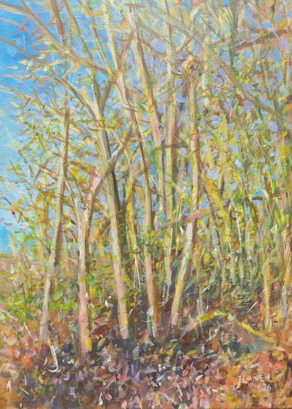 Brabants landschap lente