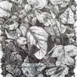 Herfstbladeren Zwarte fineliner 30 x 40 cm Papier: Schoellershammer Duria tekenpapier Let op: wordt zonder lijst geleverd GEEN VERZENDKOSTEN (NO SHIPPINGCOSTS, worldwide shipping)