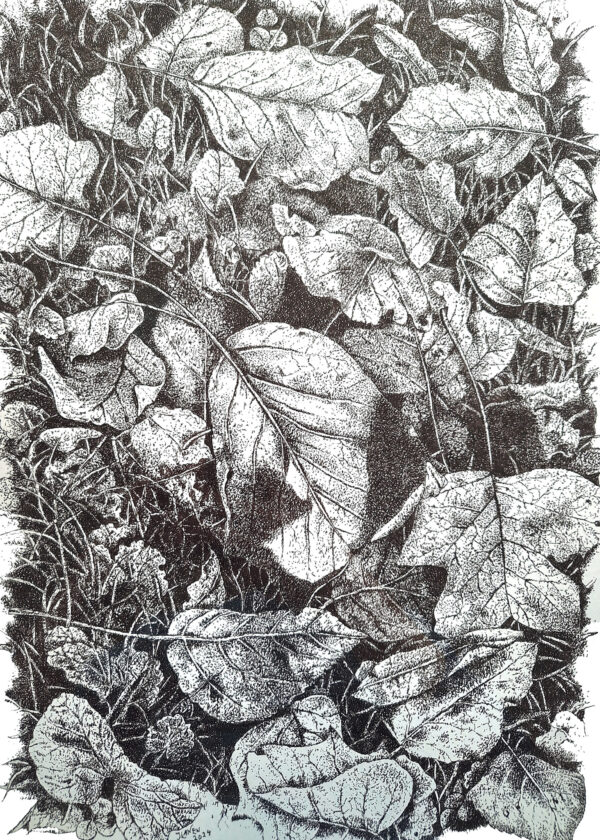 Herfstbladeren Zwarte fineliner 30 x 40 cm Papier: Schoellershammer Duria tekenpapier Let op: wordt zonder lijst geleverd GEEN VERZENDKOSTEN (NO SHIPPINGCOSTS, worldwide shipping)