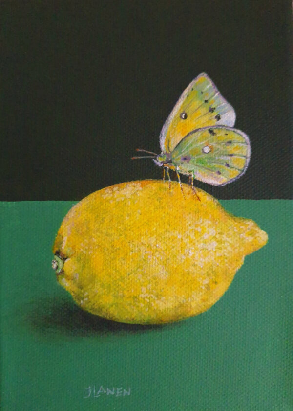 Citroenvlinder Acryl op doek Formaat: 13 x 18 cm GEEN VERZENDKOSTEN
