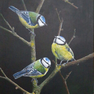 Pimpelmeesjes Acryl op doek Afmeting 24 x 30 cm GEEN VERZENDKOSTEN