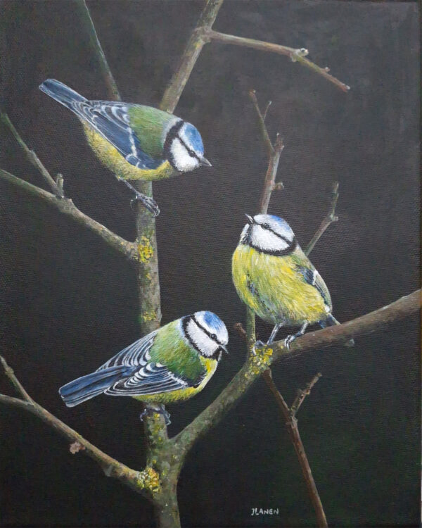 Pimpelmeesjes Acryl op doek Afmeting 24 x 30 cm GEEN VERZENDKOSTEN