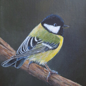 Koolmeesje  Acryl op doek Formaat: 13 x 18 cm GEEN VERZENDKOSTEN