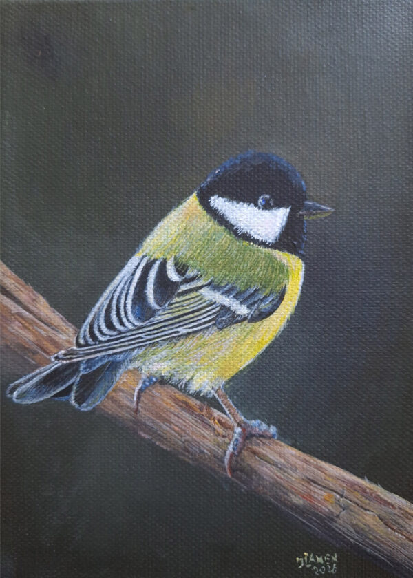 Koolmeesje   Acryl op doek Formaat: 13 x 18 cm GEEN VERZENDKOSTEN