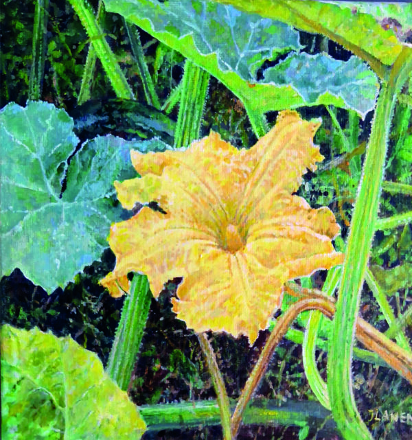 Pompoenbloem