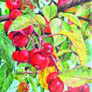 Sierappeltjes Acryl op doek Formaat: 15 x 15 cm GEEN VERZENDKOSTEN