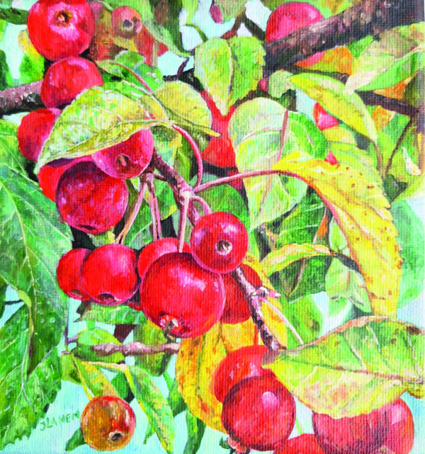 Sierappeltjes Acryl op doek Formaat: 15 x 15 cm GEEN VERZENDKOSTEN