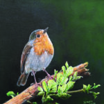 Roodborstje Geschilderd op linnen Formaat: 20 x 20 cm cm Geschilderd op linnen, ook de zijkanten zijn beschilderd GEEN VERZENDKOSTEN