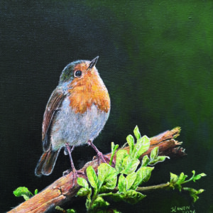 Roodborstje Geschilderd op linnen Formaat: 20 x 20 cm cm Geschilderd op linnen, ook de zijkanten zijn beschilderd GEEN VERZENDKOSTEN