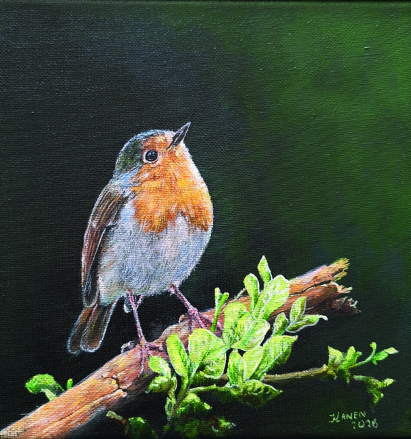 Roodborstje Geschilderd op linnen Formaat: 20 x 20 cm cm Geschilderd op linnen, ook de zijkanten zijn beschilderd GEEN VERZENDKOSTEN