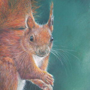 Dieren