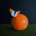 Oranjetipje Acryl op doek Formaat: 20 x 20 cm GEEN VERZENDKOSTEN