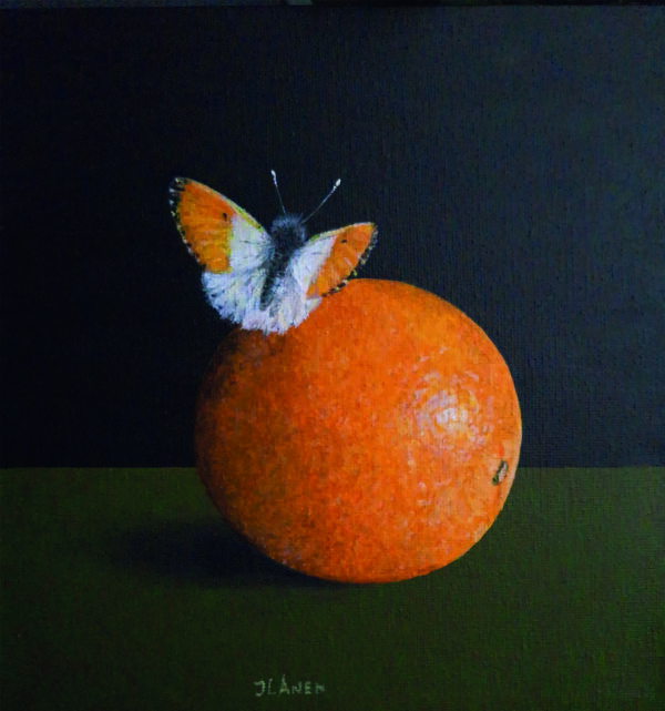 Oranjetipje Acryl op doek Formaat: 20 x 20 cm GEEN VERZENDKOSTEN